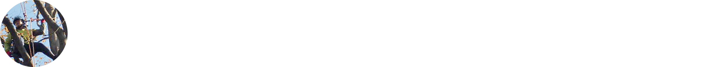 株式会社小宮造園 樹木・庭木の伐採・剪定・管理業務