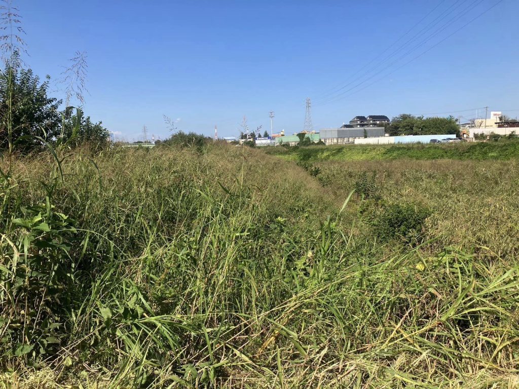 さいたま市河川除草工事